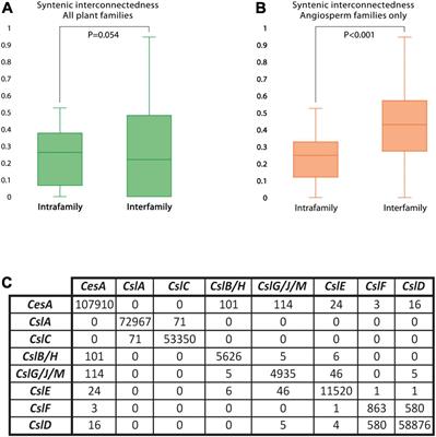 Genomic Architecture and Evolution of the Cellulose synthase Gene Superfamily as Revealed by Phylogenomic Analysis